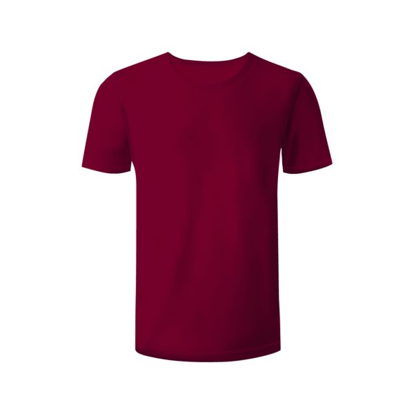 REMERAS ALGODON PEINADO 24.1 - Image 14